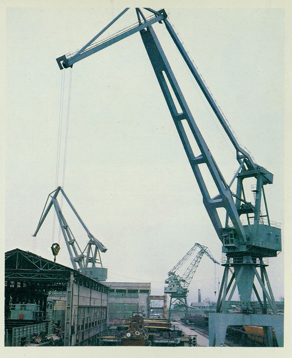 国产a∨国片精品白丝美女视频