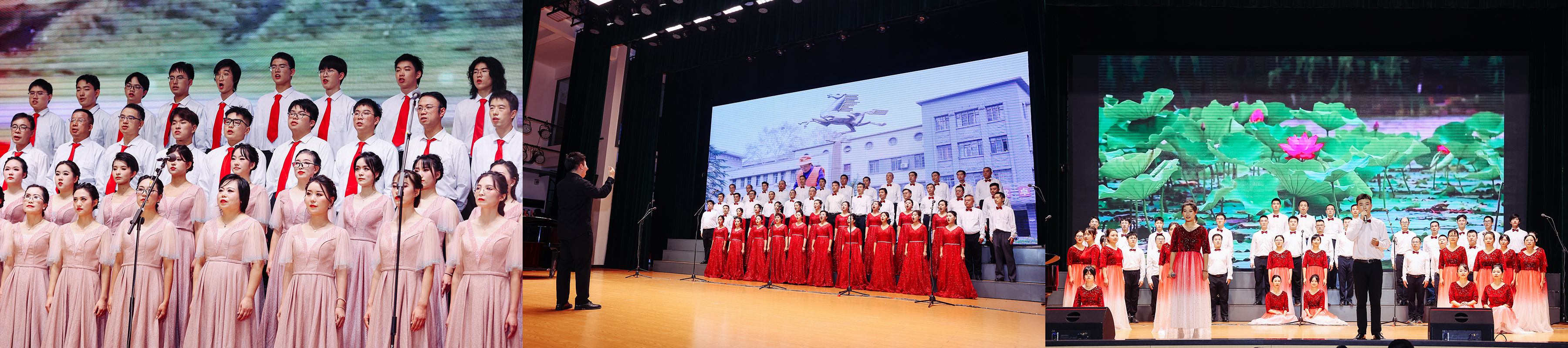 国产a∨国片精品白丝美女视频